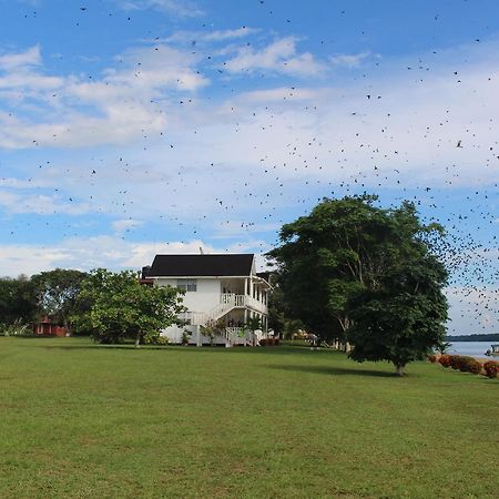 Baganara Island Resort Bartica Ngoại thất bức ảnh